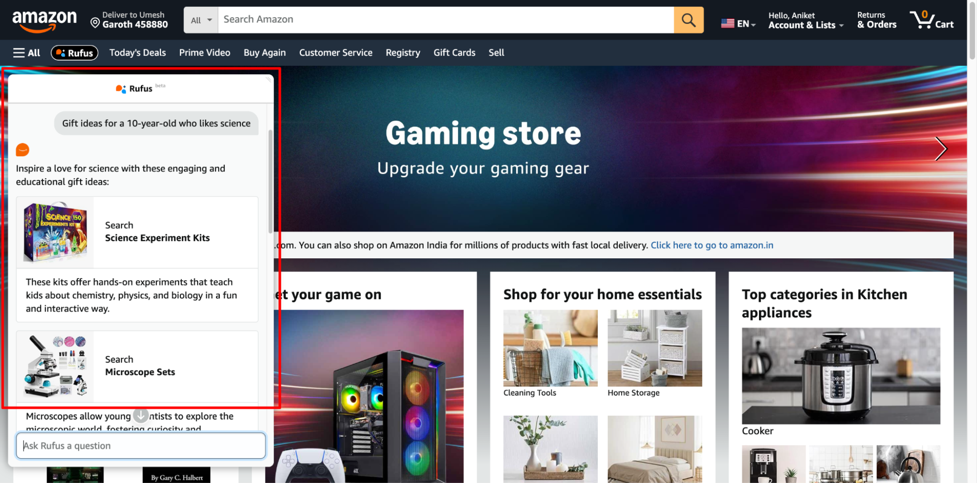 Asked Rufus AI shopping assistant for gift ideas for a 10 year old kid.