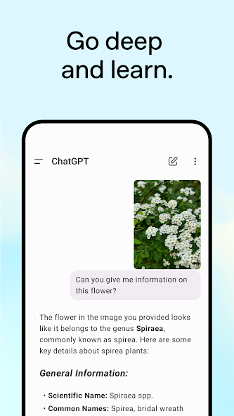 ChatGPT, one of the best AI therapy apps 4.